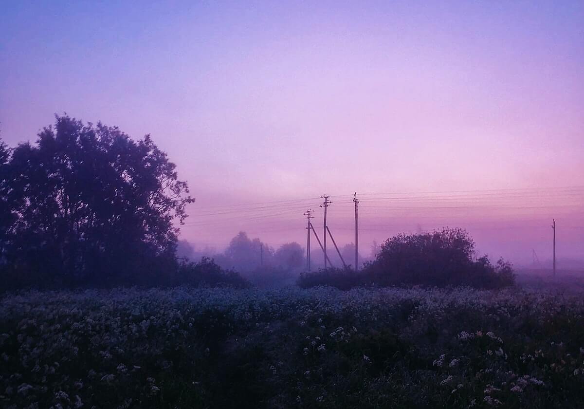 旺财28-波尔津吉斯30分特雷杨21分 勇士胜奇才结束五连败